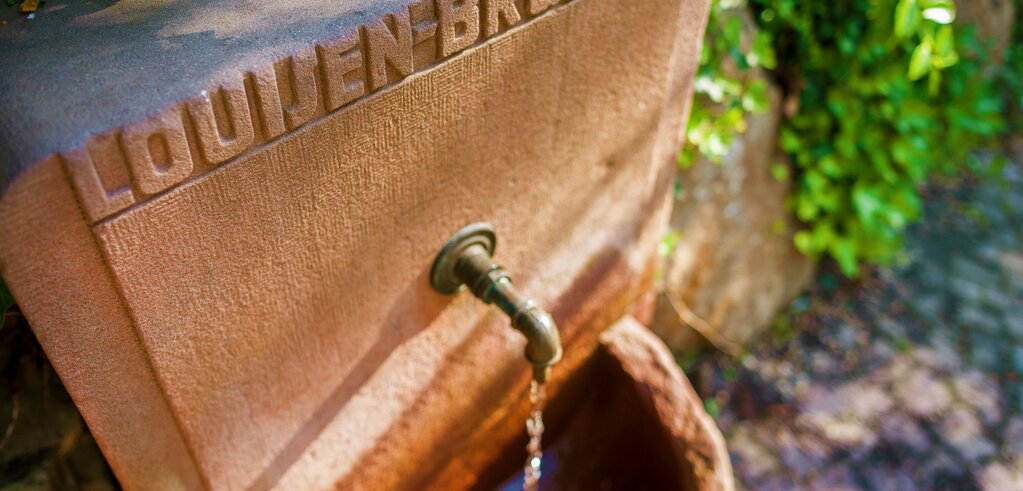 © Johannes C. Elze © Johannes C. Elze