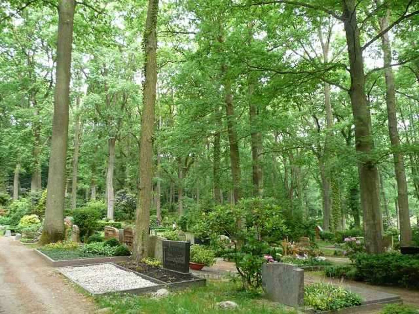 © Stadt Bad Homburg v. d. Höhe © Stadt Bad Homburg v. d. Höhe